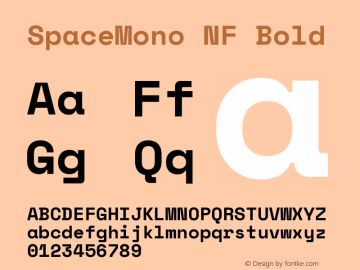 SpaceMono NF Bold Version 1.000;PS 1.000;hotconv 1.0.81;makeotf.lib2.5.63406 Font Sample