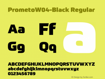 PrometoW04-Black Regular Version 1.20图片样张