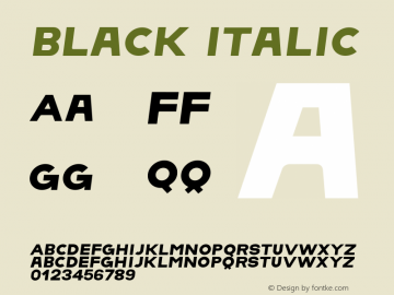 Black Italic Version 1.001;Fontself Maker 1.0.3 Font Sample