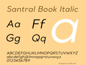 Santral Book Italic Version 1图片样张