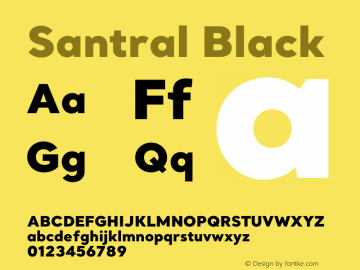 Santral Black Version 1图片样张