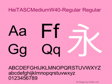 HeiTASCMediumW40-Regular Regular Version 1.00 Font Sample