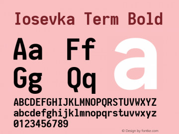 Iosevka Term Bold 1.10.1图片样张