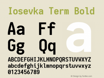 Iosevka Term Bold 1.10.1图片样张