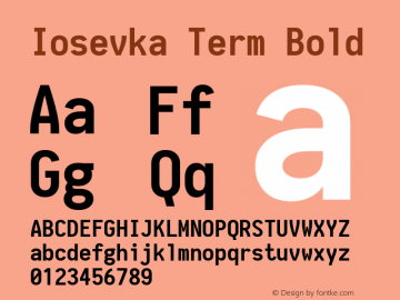 Iosevka Term Bold 1.10.1图片样张