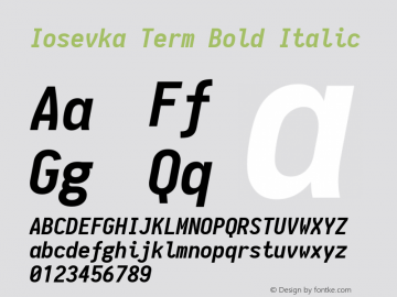 Iosevka Term Bold Italic 1.10.2图片样张