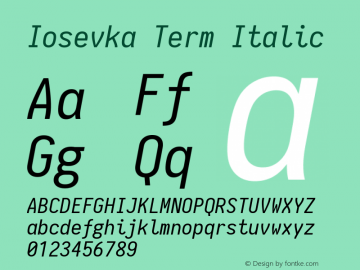 Iosevka Term Italic 1.10.2图片样张