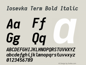 Iosevka Term Bold Italic 1.10.2图片样张