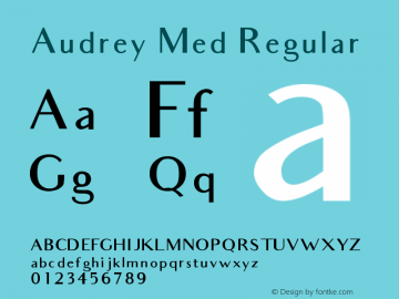 Audrey Med Regular Version 1.00 2016图片样张