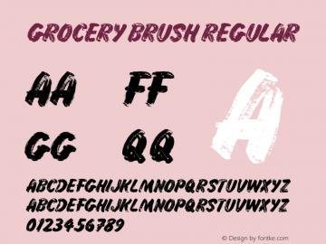 Grocery Brush Regular Unknown图片样张