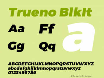 Trueno BlkIt Version 3.001b Font Sample