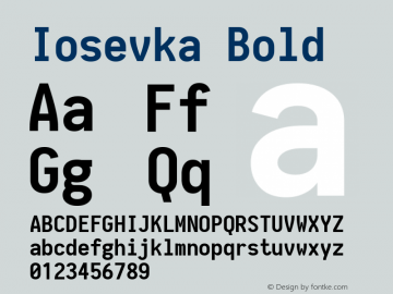 Iosevka Bold 1.10.3 Font Sample