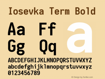 Iosevka Term Bold 1.10.3图片样张