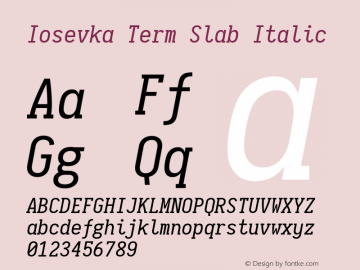 Iosevka Term Slab Italic 1.10.3图片样张