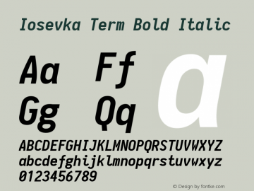 Iosevka Term Bold Italic 1.10.3图片样张