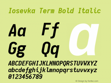 Iosevka Term Bold Italic 1.10.4图片样张