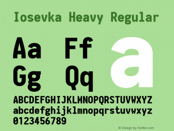 Iosevka Heavy Regular 1.10.5 Font Sample