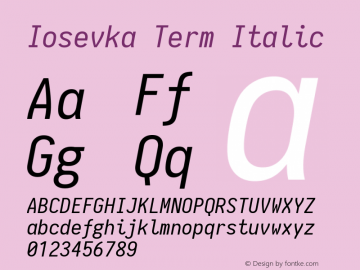 Iosevka Term Italic 1.10.5图片样张