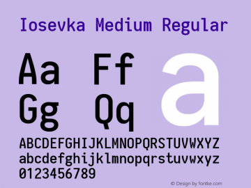 Iosevka Medium Regular 1.10.5 Font Sample