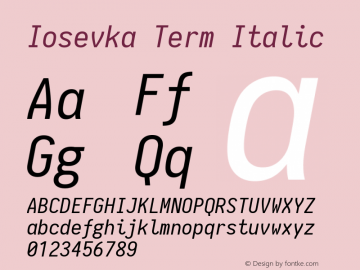 Iosevka Term Italic 1.10.5图片样张