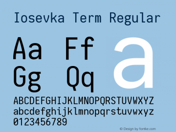 Iosevka Term Regular 1.10.5图片样张