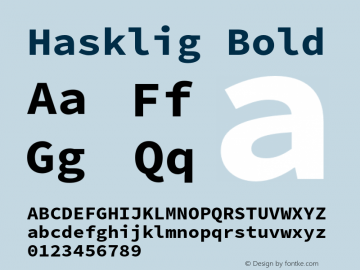 Hasklig Bold Version 2.030;PS 1.0;hotconv 16.6.51;makeotf.lib2.5.65220 Font Sample