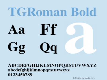 TGRoman Bold 2.004 Font Sample