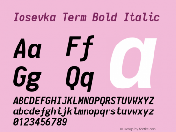 Iosevka Term Bold Italic 1.11.0; ttfautohint (v1.5)图片样张