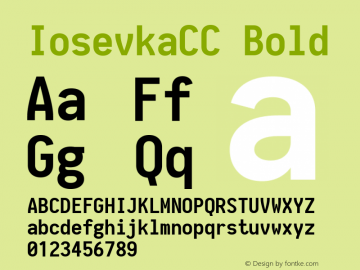 IosevkaCC Bold 1.11.0; ttfautohint (v1.5) Font Sample