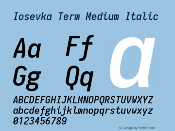 Iosevka Term Medium Italic 1.11.0; ttfautohint (v1.5)图片样张