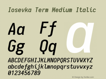 Iosevka Term Medium Italic 1.11.0; ttfautohint (v1.5)图片样张