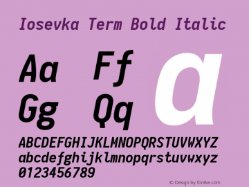 Iosevka Term Bold Italic 1.11.0; ttfautohint (v1.5)图片样张