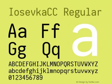 IosevkaCC Regular 1.11.0; ttfautohint (v1.5) Font Sample