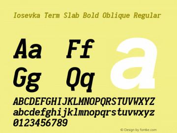 Iosevka Term Slab Bold Oblique Regular 1.11.0; ttfautohint (v1.5) Font Sample
