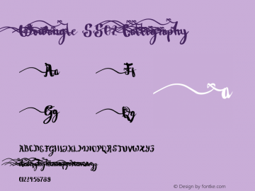Wowangle SS02 Calligraphy 1.000 Font Sample