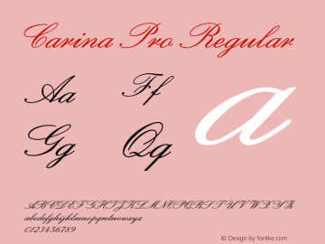 Carina Pro Regular Version 1.0 Font Sample