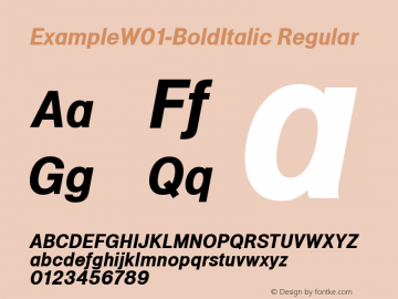 ExampleW01-BoldItalic Regular Version 1.00图片样张