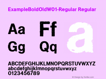 ExampleBoldOldW01-Regular Regular Version 1.00图片样张
