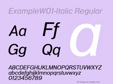 ExampleW01-Italic Regular Version 1.00图片样张