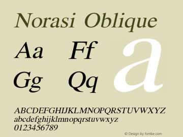 Norasi Oblique Version 004.011: 2009-07-24图片样张