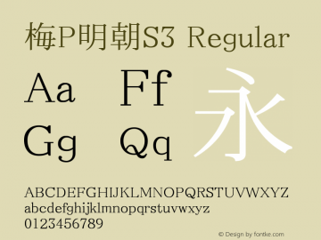 梅P明朝S3 Regular Look update time of this file. Font Sample