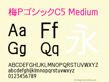 梅PゴシックC5 Medium Look update time of this file. Font Sample