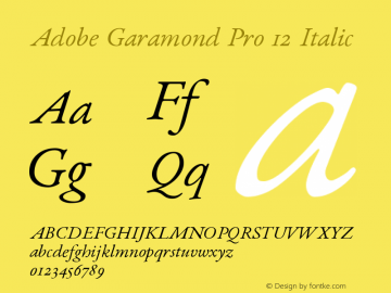 Adobe Garamond Pro 12 Italic Version 0.016 - Artsy图片样张