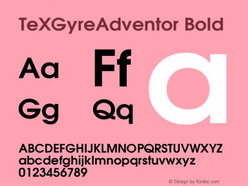 TeXGyreAdventor Bold Version 1.104;PS 1.104;hotconv 1.0.49;makeotf.lib2.0.14853 Font Sample