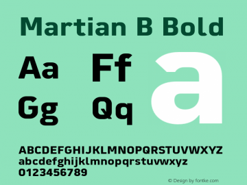 Martian B Bold Version 1.000;PS 001.000;hotconv 1.0.88;makeotf.lib2.5.64775 Font Sample