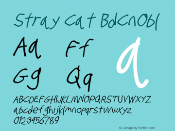 Stray Cat BdCnObl Version 1.0图片样张