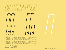 Big Stem Italic 1.000图片样张