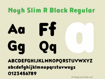 Noyh Slim R Black Regular Version 1.000 Font Sample