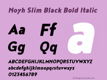 Noyh Slim Black Bold Italic Version 1.000图片样张