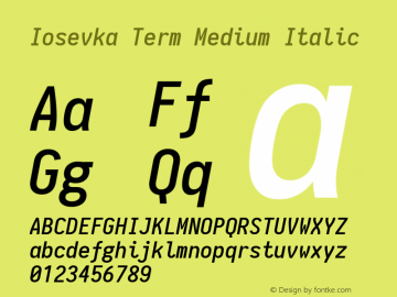 Iosevka Term Medium Italic 1.11.1; ttfautohint (v1.6)图片样张